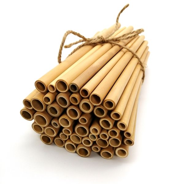 Bambusová slamka 20cm